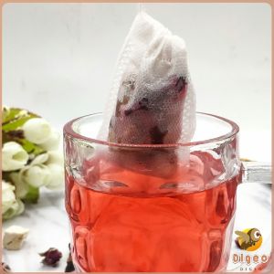 Digeo Disposable Drawstring Non-Woven Fabric Tea Herb Filter Bag Pouch 100pcs 50pcs