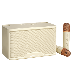 Family KTV Wireless Microphone Audio Integrated Microphone Kids Home Karaoke Singing Outdoor Bluetooth Boombox Set