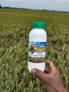 จ้าวเขียวจัง 10 ขวด ฉีดพ่นทางใบ