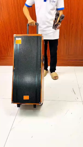 Loa TTD 1122 Karaoke bass 30cm Kèm Micro Âm Thanh Mạnh Mẽ Bass Đôi Cực Chất 250 – 500W Vỏ ngoài chắc chắn sang trọng bảo hành 12 tháng