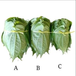 Betel Leaves Fresh 100Pcs Size Mix