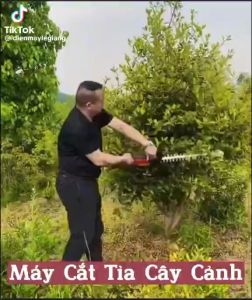 Máy cắt tỉa hàng rào cắt cây cảnh LAPUSEN 199V Chính hãng - Động cơ lõi đồng 100% -1800W chân pin phổ thông 4cm