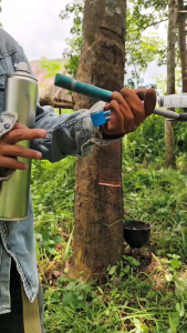 ⚡ชุดเจาะยางพารา กระเปาะเจาะยาง ถุงแก๊สเจายาง ชุดเติมแก๊สฮอร์โมนเอทิลีน ครบชุด รุ่นไซริงค์ กระเปาะสีน้ำเงิน