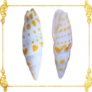 Mitra Mitra | Yellow | Episcopal Miter | Mitra Mitra | 2.5 - 5 Inches