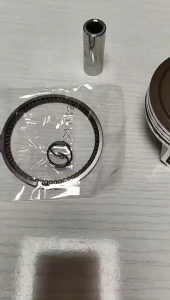 67mm bore Piston Ring Kit Set For Honda CRF230 CRF230F 2007-2015 Pistons set