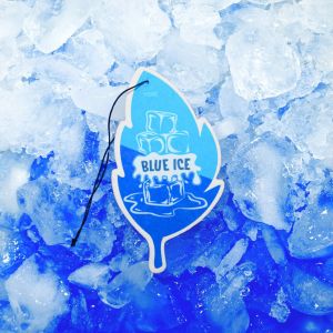 Summerspring Pengharum Ruangan dan Mobil Leaf 20 gram