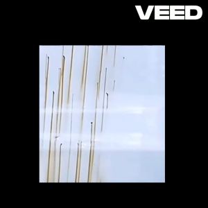 ยางมะตอย น้ำยาล้างยางมะตอย ร่าสุกซิ คราบสกปรก สีรถยนต์ 100 ตัว คราบแมลง ยางไม้ มูลนก