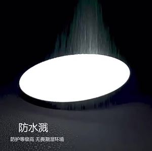 RUILUO | Smokeproof Ceiling Light
