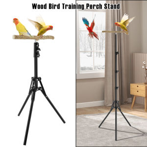 Wood Bird Training Perch Stand Height Adjustable Bird Perch Toys Indoor Outdoor Versatile Bird Parrot Play Training Station Pole
