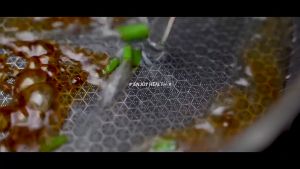 Honeycomb Briquette Frying Pan Non Stick Pan