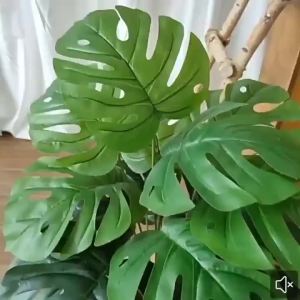 3 Cây Cọ Areca Nhân Tạo Lớn 36 Lá Cây Nhiệt Đới Trồng Chậu Trang Trí Trong Nhà Cây Nhựa Để Đặt Sàn