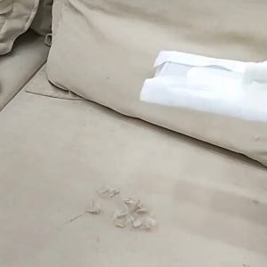 [ราคาสุดคุ้ม ถูกที่สุด]กระดาษแบบแห้ง กระดาษแบบเปียกช่วยขจัดคราบฝุ่น เส้นผม ถูพื้น มอบความสะอาดแก่ห้องต่างๆ