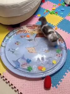 สัตว์เลี้ยงเสื่อน้ำ ที่นอนเย็น เบาะน้ำพองลม 3 มิติ พร้อม เบาะนอนเย็น เบาะเป่าลม ของเล่นแมว