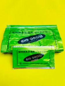 ZPT BIG GROW FORTE 20WP isi 1gram: Solusi Pertumbuhan Tanaman yang Mudah Digunakan