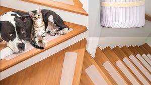 Lantai Anti-Slip & Stiker Lantai Transparan: Pilihan Terbaik untuk Rumah Anda