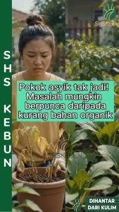Vermicompost Fertilizer 900g/1.5kg/2.5kg Baja Organik Tahi Cacing 有机肥 蚯蚓肥 Baja cacing 蚯蚓有机肥 Baja Kompos SHS KEBUN