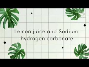 Combo 1 Kg Baking Soda và 1 Kg Acid Citric