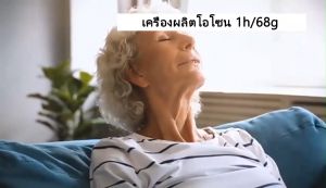 เครื่องอบโอโซน Ozone Generator สำหรับฆ่าเชื้อ 68g/hours โอโซน ฟอกอากาศ แบคทีเรีย จับเวลา 120 นาที