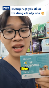 pethealer Men vi sinh cho chó mèo / hỗ trợ tiêu hóa / hộp 10 gói / hàng có sẵn