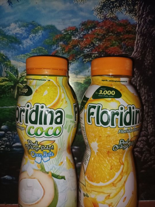 floridina orange & coco 350ml | Lazada Indonesia