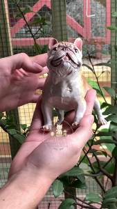 Gốm Đức Minh - Tượng chó Bulldog chờ sen về trông nhà bằng gốm tráng men màu sắc ấn tượng đáng yêu - trang trí tiểu cảnh vườn cây văn phòng bàn làm việc quà tặng ý nghĩa cho người thương