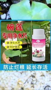 ปุ๋ยบัว ปุ๋ยบอน ปุ๋ยไม้น้ำ Golden Flowers 200g ช่องาม สูตรเร่งต้น สูตรเร่งดอก ปุ๋ยดอกบัว