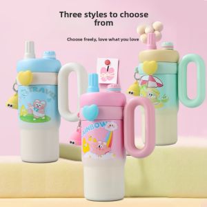 Aesthetic Straw Large Capacity Insulated Water Bottle