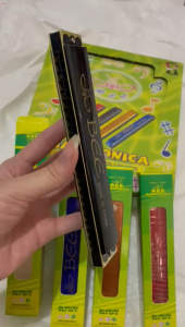 Harmonika Bee Besar 24 Hole Key C Bahan Besi Hemat