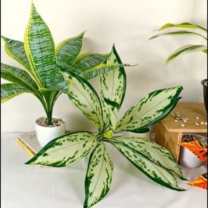 Tanaman Hias Plastik Model Daun Aglonema: Dekorasi Ruangan Murah