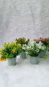 Chậu hoa giả mini để bàn VI140 ( cao tầm 13 cm ngang 7 cm nhiều mẫu để lựa chọn) hoa giả trang trí