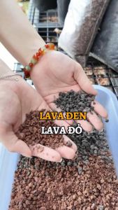 Túi 1Kg - Đá nham thạch đá lava đỏ /đen - Size 3-6mm | Giá thể trồng sen đá bonsai I Độc quyền Family Garden
