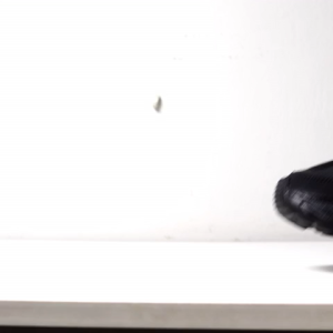 CORVALUE FOOTWEAR - City Stride Fullblack | Sepatu Pria wanita | Shoes Sneakers Pria wanita Outdoor Casual