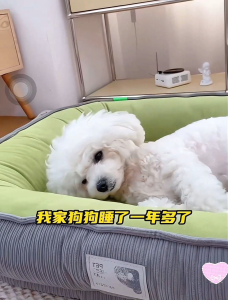 LDECO Removable Soft Plush Dog Bed - Comfortable Washable Pet Mat With Non-Slip Base Suitable For Puppies & Cats & Dogs
