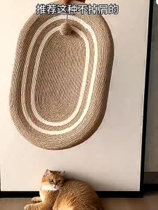 3in1 เครื่องแมวที่ลับเล็บ ที่ฝนเล็บแมว สำหรับครอกแมว