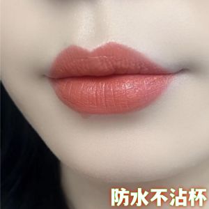 ลิปสติกเนื้อแมทต์ไม่ซีดจาง ไม่เลอะเทอะ ติดทนนาน ป้องกันน้ำ สีสันสดใส ลิปสติกเนื้อแมทต์สีน้ำส้มสายชูและสีซีอิ้ง