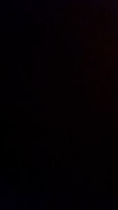 [3/6/12 Pcs] Promo BH Miniset Anak Tiana Kids 206 polyester termurah  motif kartun anak ayam lucu banyak warna busa