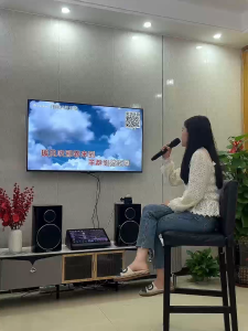 19  Touch Screen Karaoke playerInternational systemCloud download1TB-4TB HDD YouTubeMulti-Language songsRecord and score
