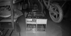 (ร้านไทย)กับดักหนูอย่างต่อเนื่อง กรงดักหนู ที่ดักหนู กับดักหนู กับดักหนูนา ดักหนู โรงงานขายส่ง รับประกันของแท้ ใช้ซ้ำได้ ส่งไว