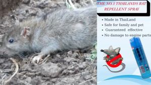 Chai Xịt Đuổi Chuột Nội Địa Thái Lan RAT OFF ANTI RAT SPRAY 300ml