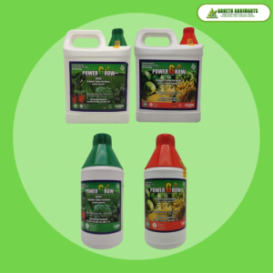 ARNETH POWER GROW ORGANIC FOLIAR FERTILIZER LITER RED AND GREEN by Dynapharm