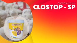 100gr Clostop SP - Siêu men chặn đứng phân ướt phân nát phân sống dùng để úm gà