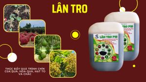 Phân Lân dạng nước - LÂN TRO P10 - Phân bón hữu cơ vi sinh - Can 10L