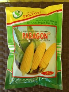 Benih Jagung Hibrida Paragon isi 1.750 Biji "Pertiwi"