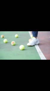 Pengambil Picker Bola Ball Tenis Tennis Tabung Tube 15 Balls Hopper Shoulder Strap