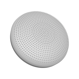 Miss You | Adult Rehabilitation and Core Strength Training Balance Ball