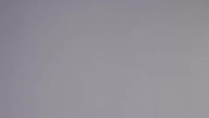 314CASETiFY All Style Phone Charm Cross body Strap Wrist For iPhone 15 14 7 8 Plus X XS XR 11 12 13 Pro MaxSamsung S22 S23 S24 Bracelet Lanyard Hand Strap Cover