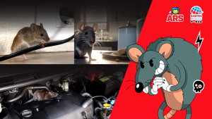 ARS RAT REPELLENT SPRAY 500ML