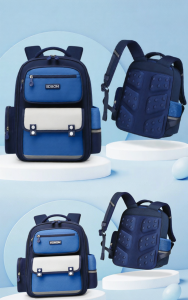 Ergonomic Lightweight School Backpack for Boys