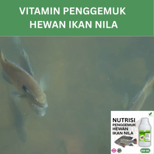 Vitamin Penggemuk Ikan Nila Alami 250ml Nafsu Makan Naik Bobot Cepat Bertambah Maks Penggemukan