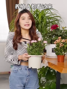 5 Liters Vermiculite Coarse/Fine Substrate Mixture Organic Vermiculite for Horticultural Planting & Reptile Bedding